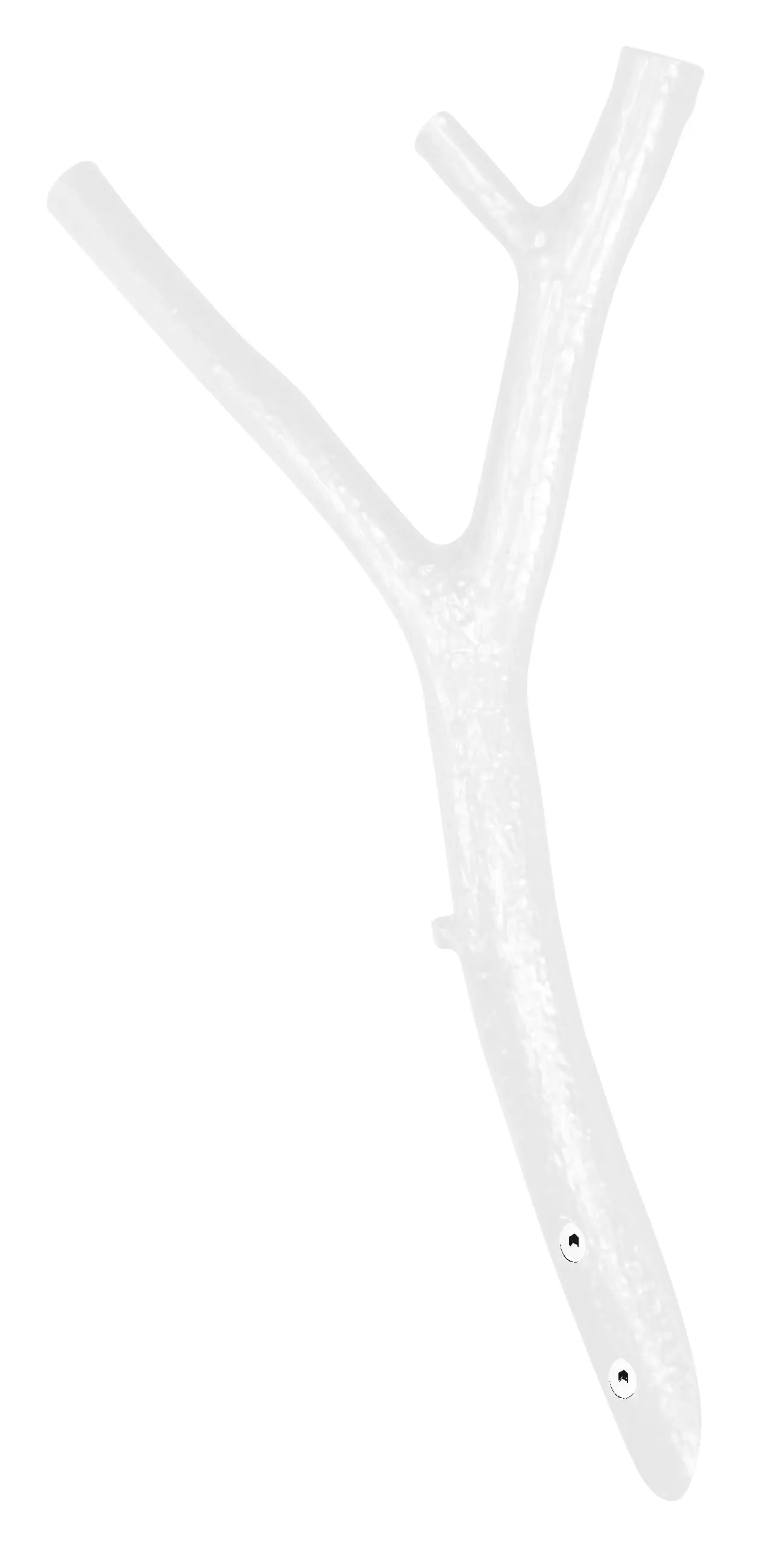 AST Design-Garderobenhaken von Hullmann-Gimmler mit natürlicher Ast-Struktur in RAL 9010 Reinweiß.